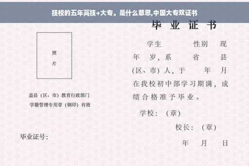 技校的五年高技+大专。是什么意思,中国大专双证书