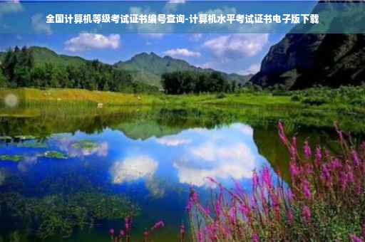 全国计算机等级考试证书编号查询-计算机水平考试证书电子版下载 全国计算机等级考试证书编号查询-计算机水平考试证书电子版下载