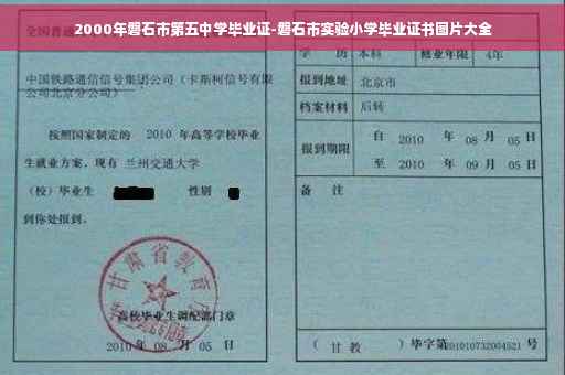 2000年磐石市第五中学毕业证-磐石市实验小学毕业证书图片大全