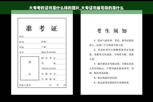 大专考的证书是什么样的图片,大专证书编号指的是什么