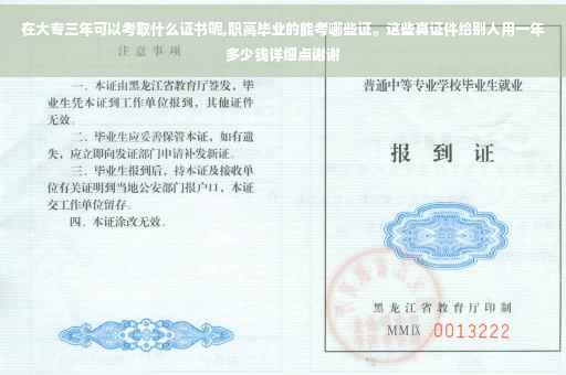 在大专三年可以考取什么证书呢,职高毕业的能考哪些证。这些真证件给别人用一年多少钱详细点谢谢