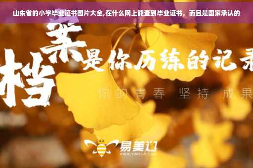 山东省的小学毕业证书图片大全,在什么网上能查到毕业证书，而且是国家承认的