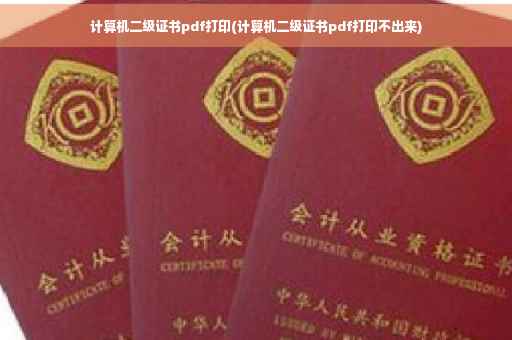 计算机二级证书pdf打印(计算机二级证书pdf打印不出来) 计算机二级证书pdf打印(计算机二级证书pdf打印不出来)