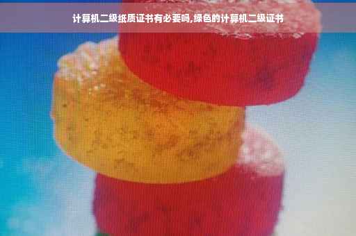 计算机二级纸质证书有必要吗,绿色的计算机二级证书