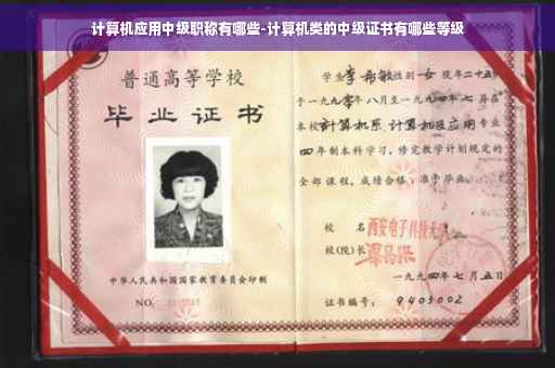 计算机应用中级职称有哪些-计算机类的中级证书有哪些等级
