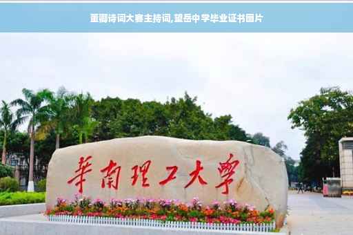 董卿诗词大赛主持词,望岳中学毕业证书图片