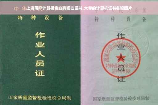 上海落户计算机专业有哪些证书,大专的计算机证书名称图片