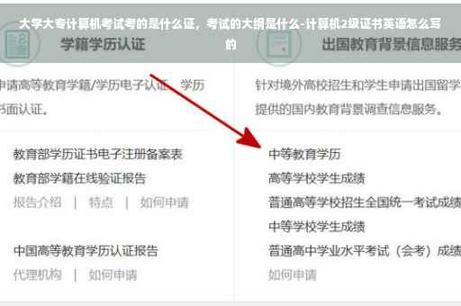 大学大专计算机考试考的是什么证，考试的大纲是什么-计算机2级证书英语怎么写的