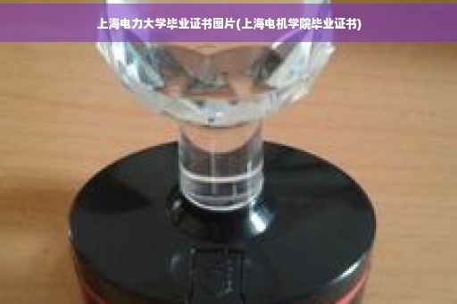 上海电力大学毕业证书图片(上海电机学院毕业证书)