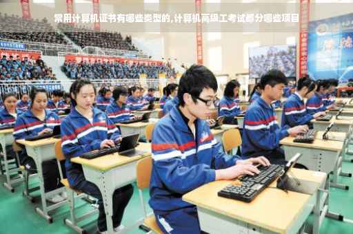 常用计算机证书有哪些类型的,计算机高级工考试都分哪些项目