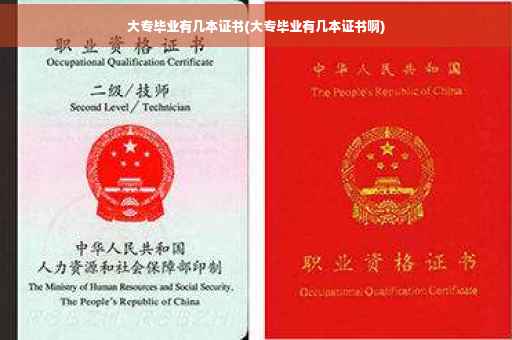 大专毕业有几本证书(大专毕业有几本证书啊)