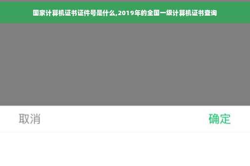国家计算机证书证件号是什么,2019年的全国一级计算机证书查询