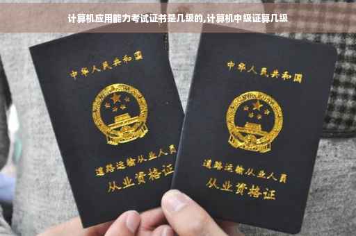 计算机应用能力考试证书是几级的,计算机中级证算几级