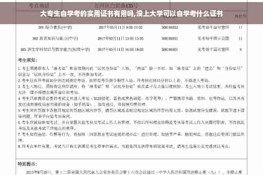 大专生自学考的实用证书有用吗,没上大学可以自学考什么证书