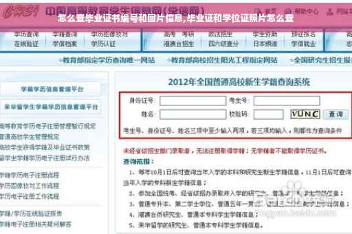 怎么查毕业证书编号和图片信息,毕业证和学位证照片怎么查