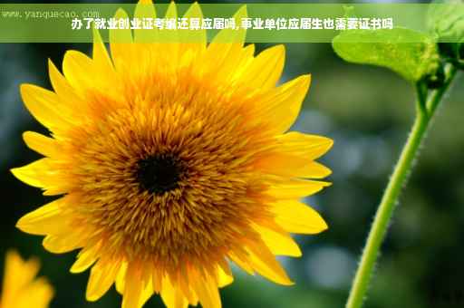 办了就业创业证考编还算应届吗,事业单位应届生也需要证书吗