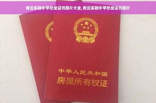 青云实验中学毕业证书图片大全,青云实验中学毕业证书图片
