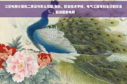 江苏电网计算机二级证书怎么领取,包头，职业技术学校，电气工程专科全日制毕业，能进国家电网