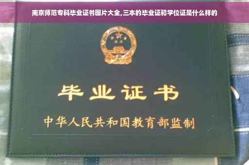 南京师范专科毕业证书图片大全,三本的毕业证和学位证是什么样的