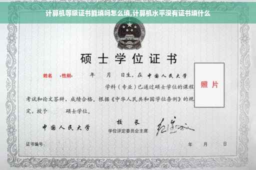 计算机等级证书能填吗怎么填,计算机水平没有证书填什么