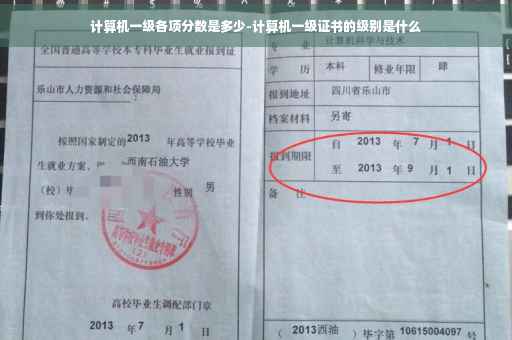 计算机一级各项分数是多少-计算机一级证书的级别是什么