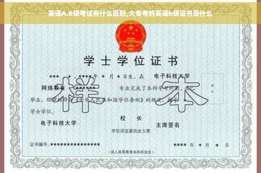 英语A.B级考试有什么区别,大专考的英语b级证书是什么