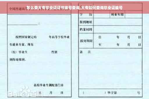 怎么查大专毕业证证书编号查询,大专如何查询毕业证编号