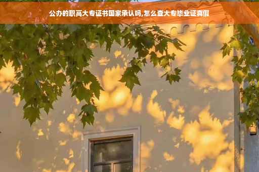 公办的职高大专证书国家承认吗,怎么查大专毕业证真假