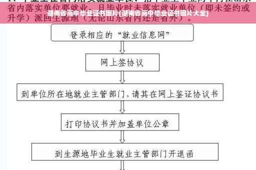 湖南省高中毕业证书图片(湖南省高中毕业证书图片大全)