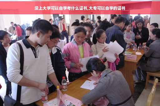没上大学可以自学考什么证书,大专可以自学的证书