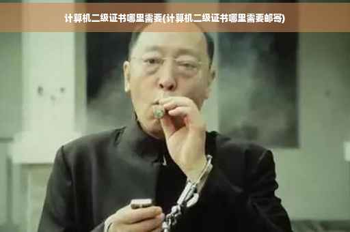 计算机二级证书哪里需要(计算机二级证书哪里需要邮寄)