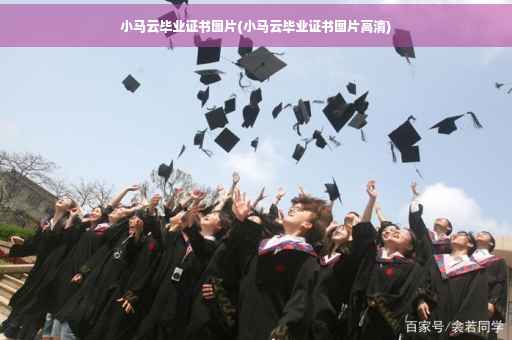 小马云毕业证书图片(小马云毕业证书图片高清)