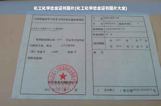 化工化学毕业证书图片(化工化学毕业证书图片大全)