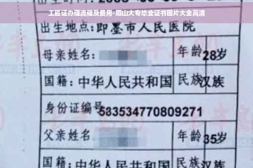 工匠证办理流程及费用-眉山大专毕业证书图片大全高清