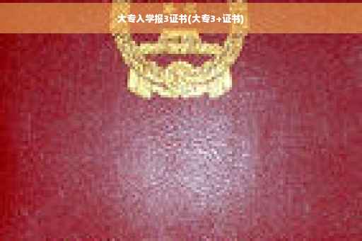 大专入学报3证书(大专3+证书)