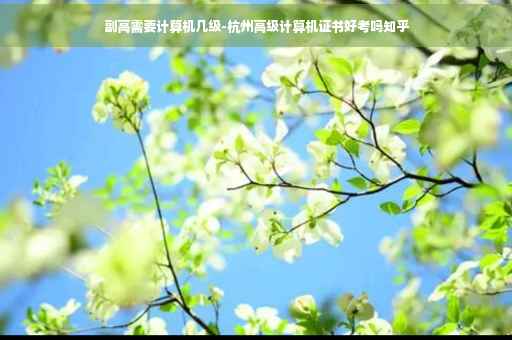 副高需要计算机几级-杭州高级计算机证书好考吗知乎