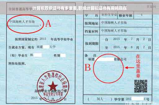 计算机四级证书有多重要,职场计算机证书有用吗现在