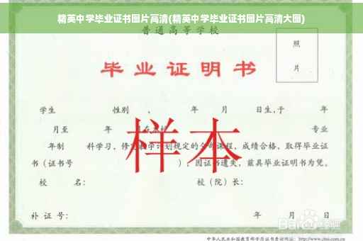 精英中学毕业证书图片高清(精英中学毕业证书图片高清大图)