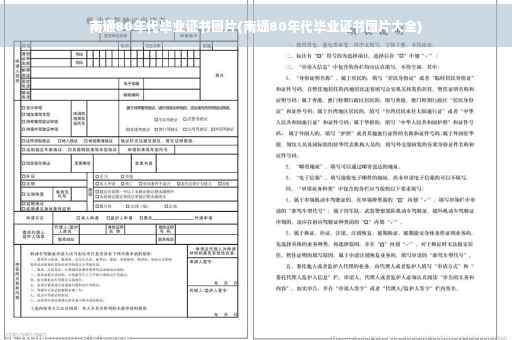 南通80年代毕业证书图片(南通80年代毕业证书图片大全)