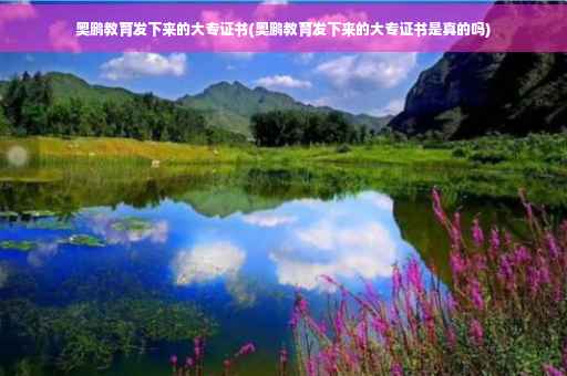 奥鹏教育发下来的大专证书(奥鹏教育发下来的大专证书是真的吗)