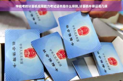 学校考的计算机应用能力考试证书是什么级别,计算机中级证是几级