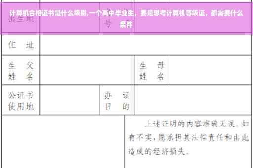 计算机合格证书是什么级别,一个高中毕业生，要是想考计算机等级证，都需要什么条件