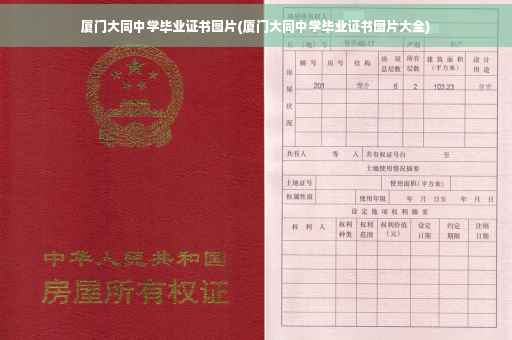 厦门大同中学毕业证书图片(厦门大同中学毕业证书图片大全)