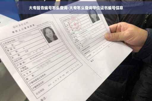 大专报告编号怎么查询-大专怎么查询学位证书编号信息