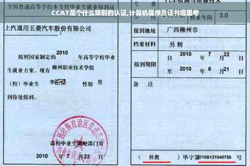 CCAT是个什么级别的认证,计算机程序员证书哪里考