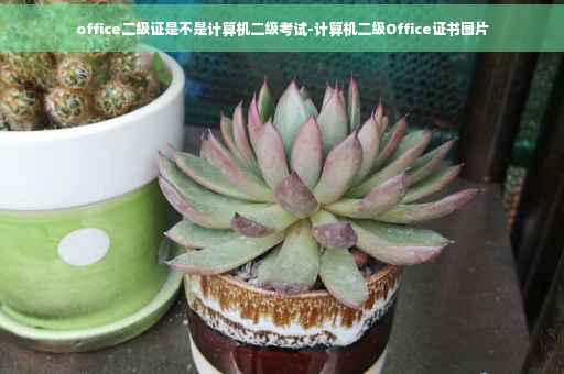 office二级证是不是计算机二级考试-计算机二级Office证书图片