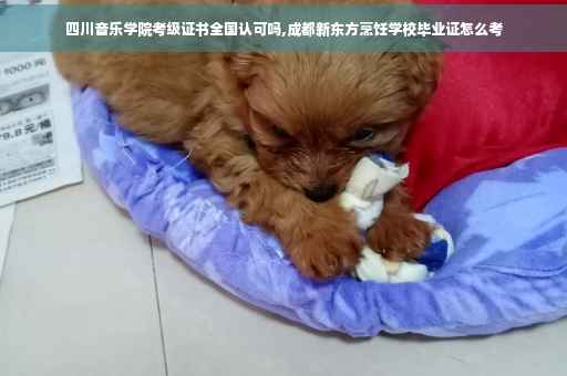 四川音乐学院考级证书全国认可吗,成都新东方烹饪学校毕业证怎么考