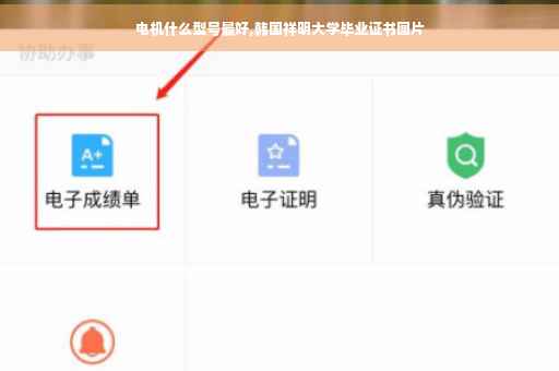 电机什么型号最好,韩国祥明大学毕业证书图片