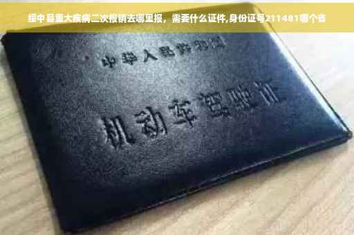 绥中县重大疾病二次报销去哪里报，需要什么证件,身份证号211481哪个省
