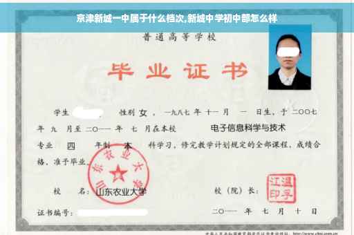 京津新城一中属于什么档次,新城中学初中部怎么样